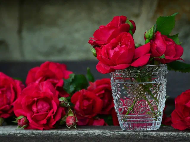 Rosen