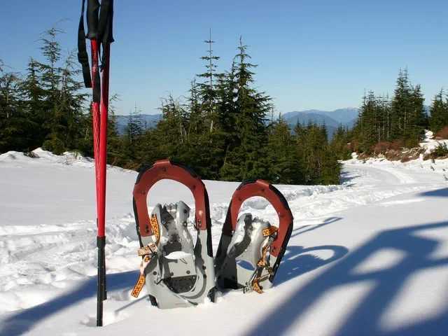 Schneeschuhwandern