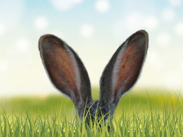 Frohe Ostern!