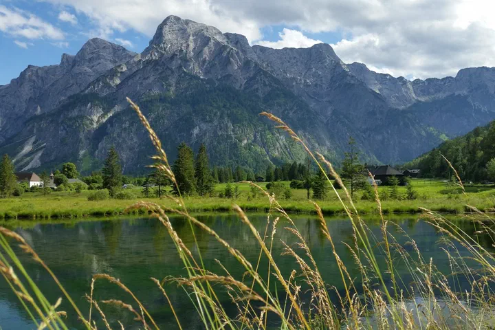 Ausblick auf den Almsee