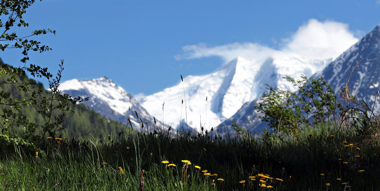 Berge und saftige Wiesen